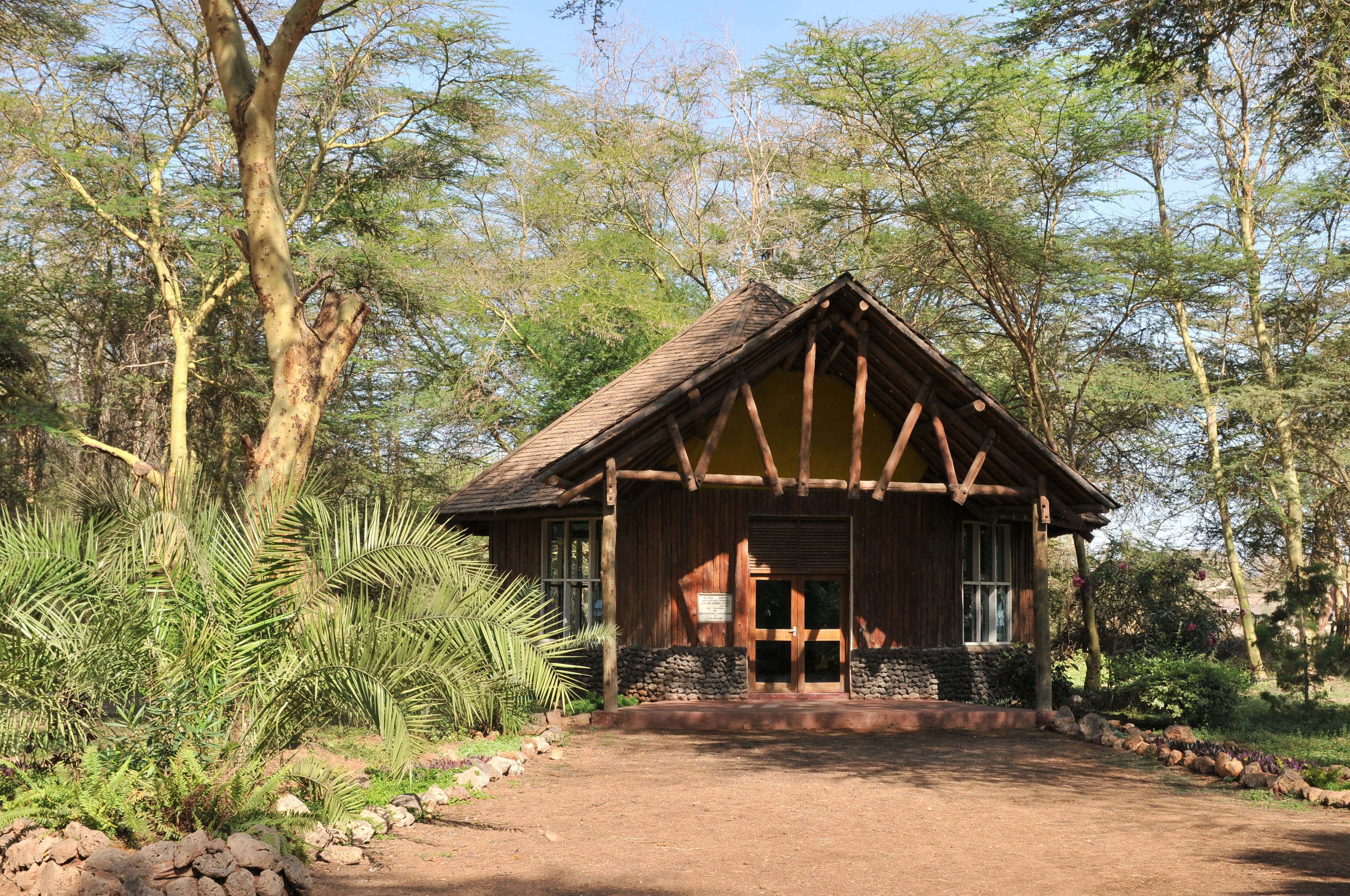 A rustic wooden cabin with a pitched roof, surrounded by lush greenery and trees.