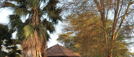 Fassade der Unterkunft