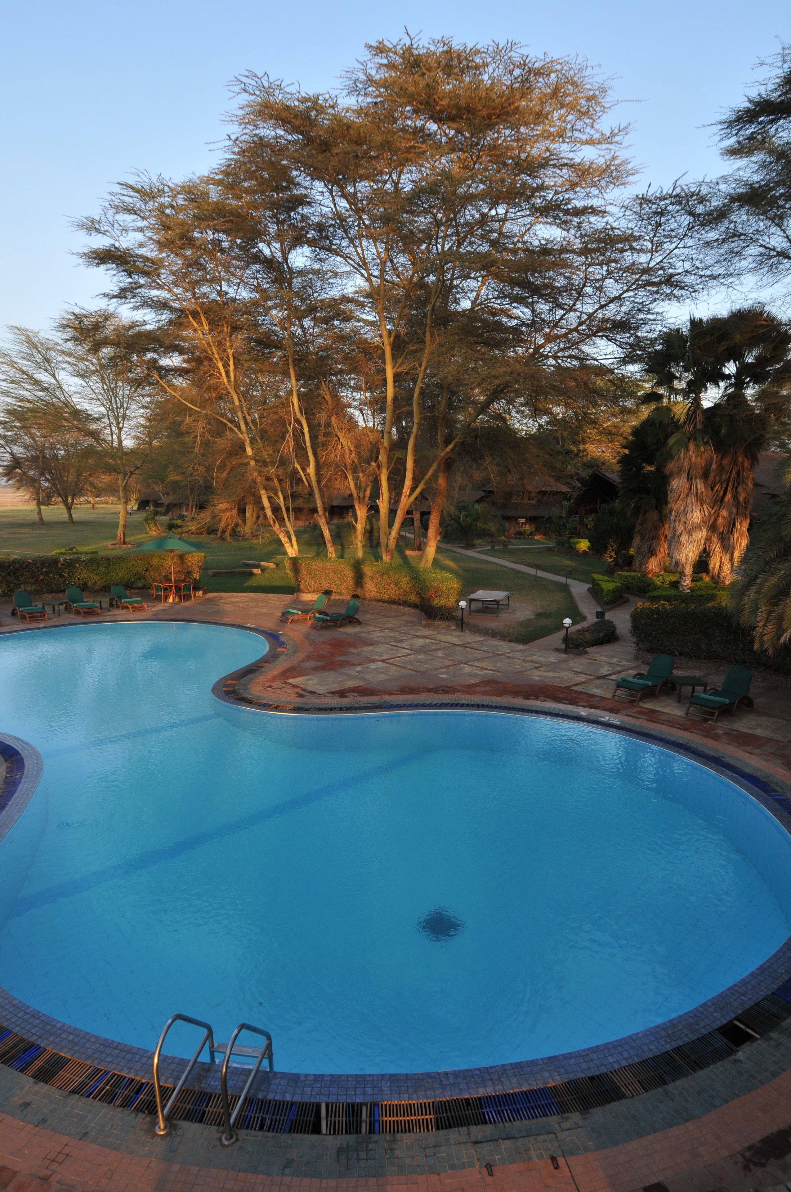 A swimming pool with a curved edge, surrounded by lounge chairs and a small table.