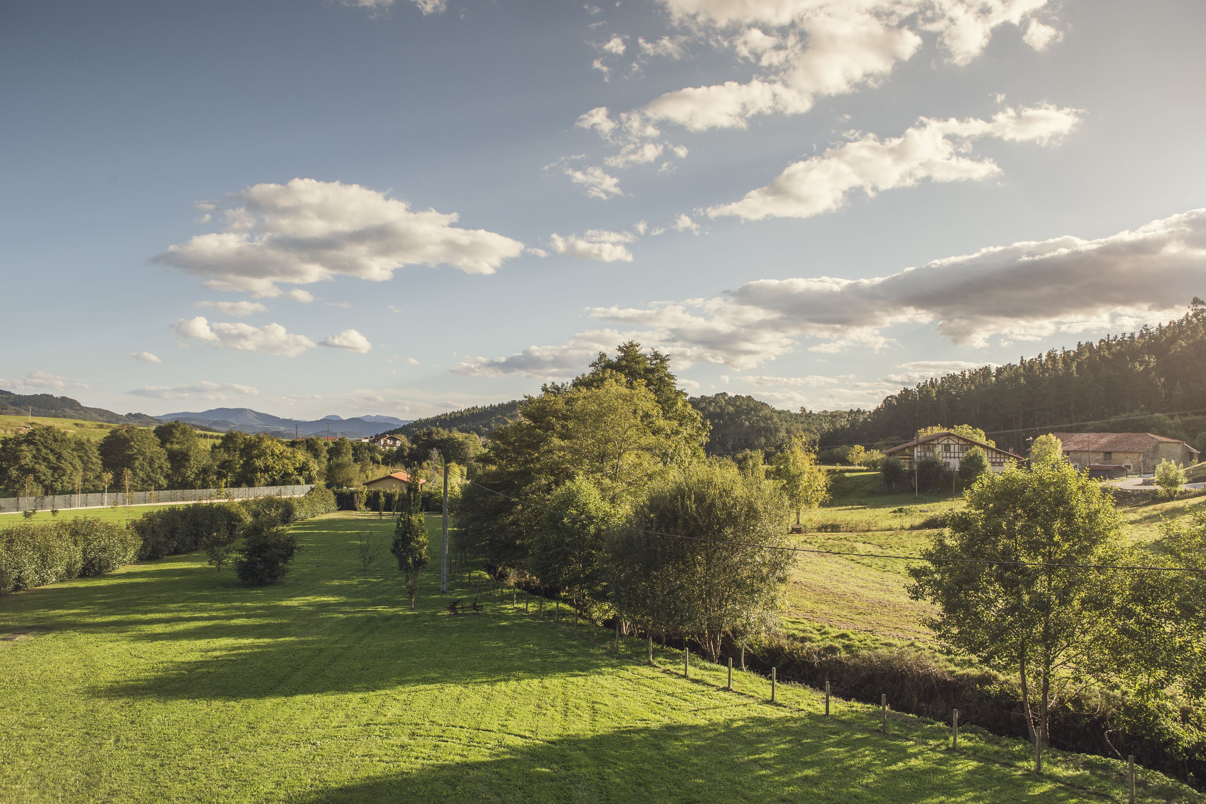 A rural landscape with rolling hills, a fence line, and scattered trees.