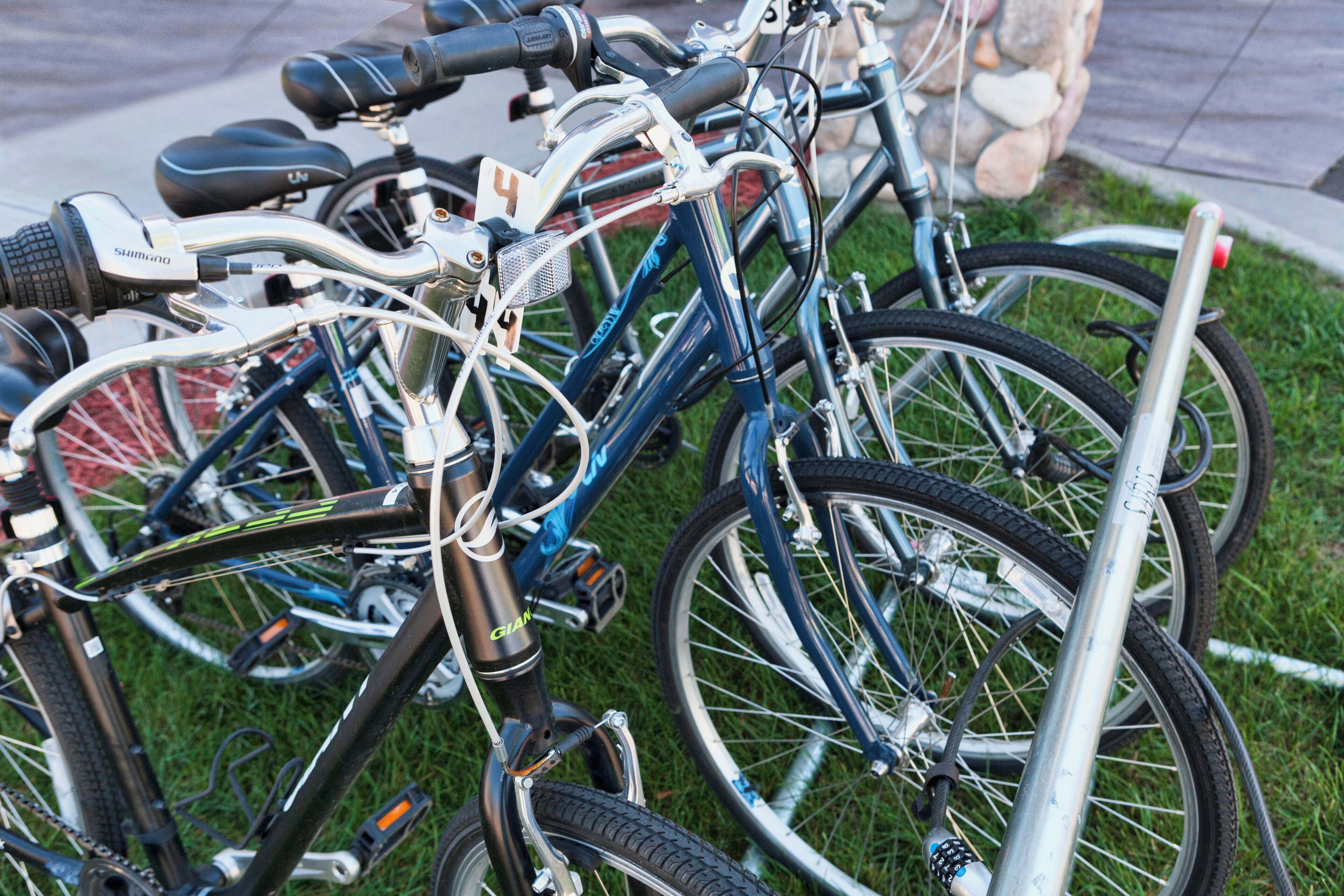 A row of bicycles parked on grass.
