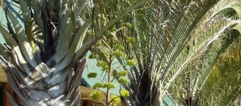 The Miners Rest Motel