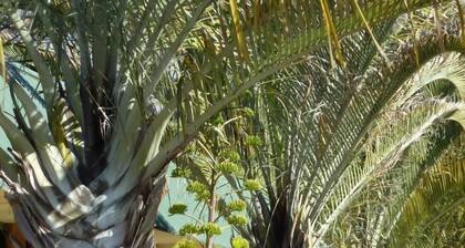 The Miners Rest Motel