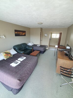 Studio | Desk, free WiFi, bed sheets - Ascot Motor Lodge (Westport)