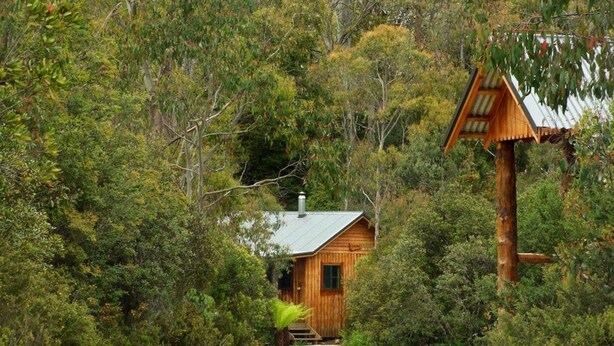 A wooden cabin surrounded by dense forest, with a gravel path leading to the entrance. - Cradle Highlander (Cradle Mountain)