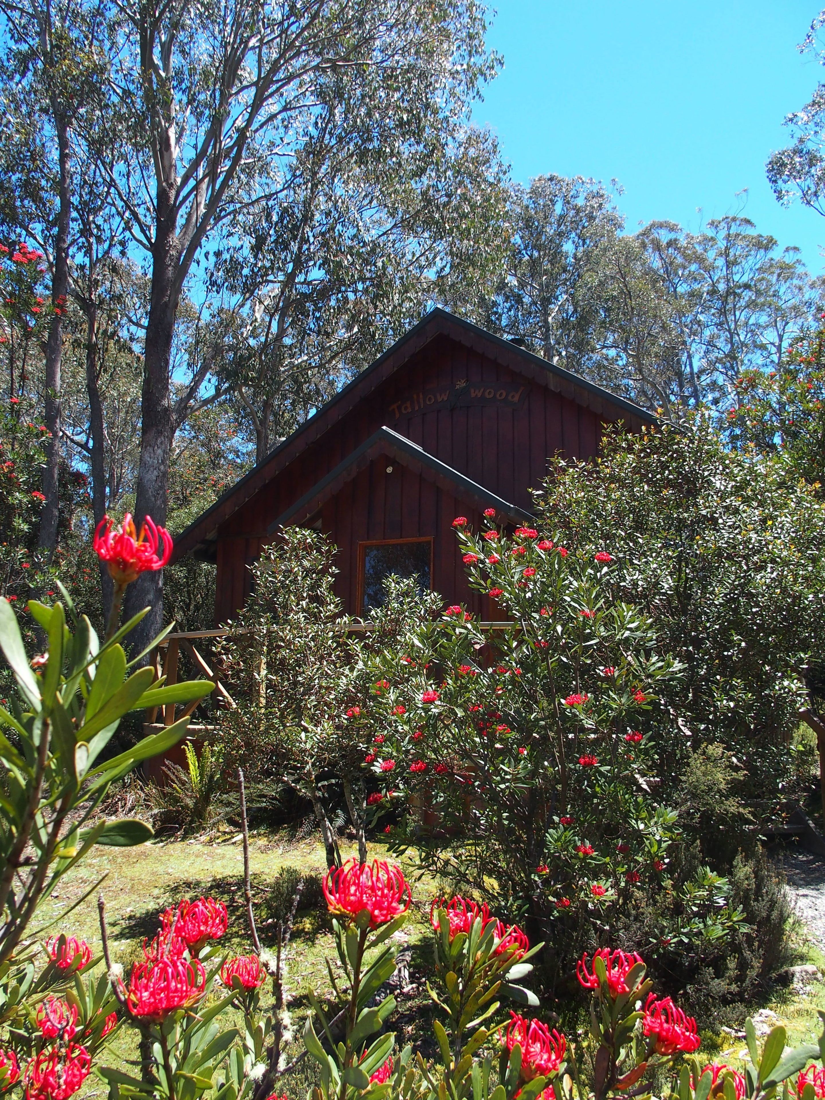 A wooden cabin with a sign reading "Tallowwood" surrounded by lush greenery and red flowers.