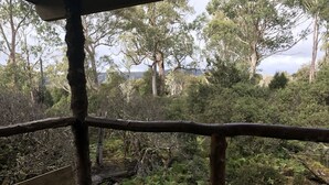 A wooden deck with a railing overlooking a forested area with various trees and ferns. - Cradle Highlander (Cradle Mountain)