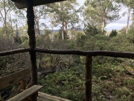Vista desde la habitación