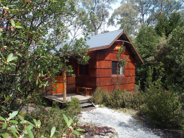 A rustic wooden cabin with a sloped roof, surrounded by dense greenery and a gravel path leading to the entrance. - Cradle Highlander (Cradle Mountain)