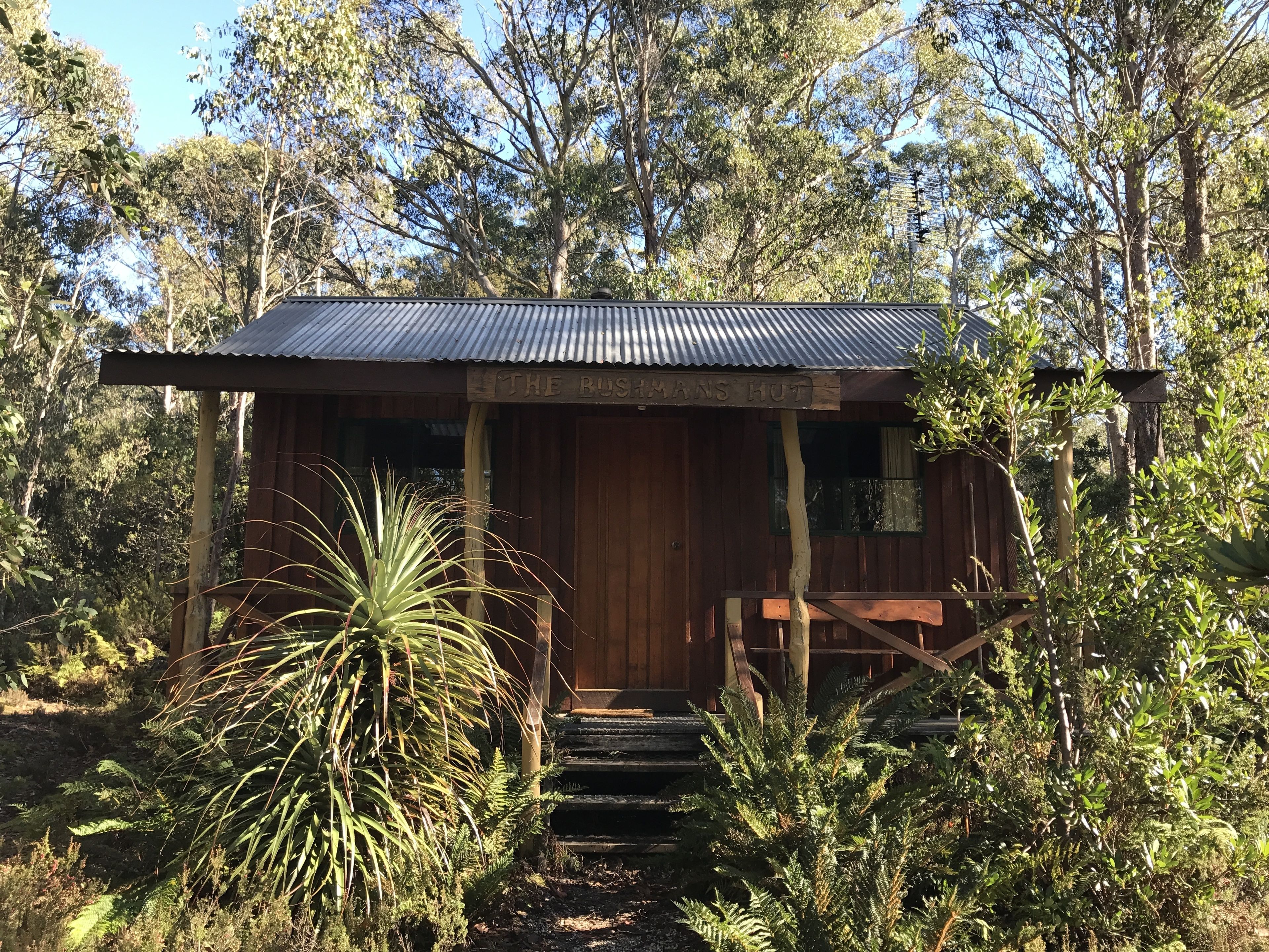A rustic wooden building with a corrugated metal roof, surrounded by dense foliage.