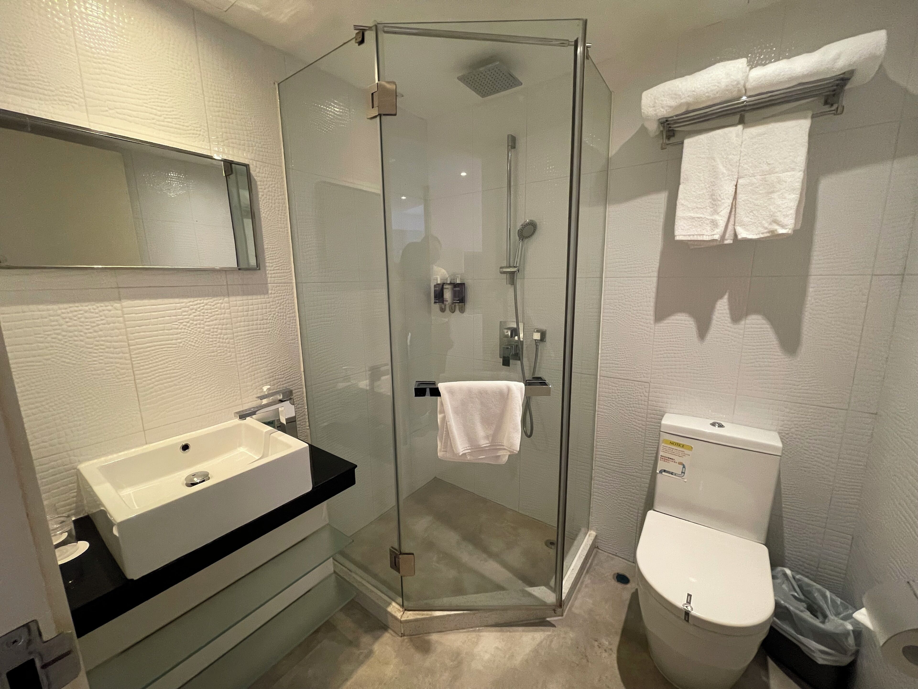 A modern bathroom with a glass-enclosed shower, a white sink, and a toilet.