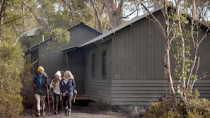 A rustic cabin with a number '22' on the side, surrounded by trees.