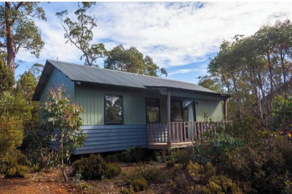 A small, single-story house with a porch, surrounded by dense vegetation.