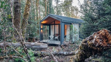 Premium Mountain Cabin | View from room