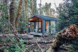 Premium Mountain Cabin | View from room