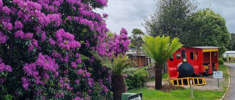 Una señal de calle de un solo sentido, un tren rojo y flores moradas.