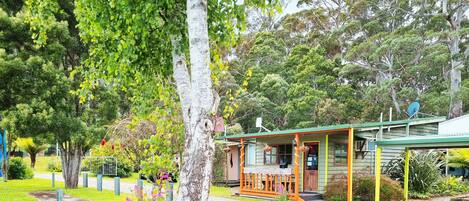 A wooden building with a porch, surrounded by lush greenery and trees.