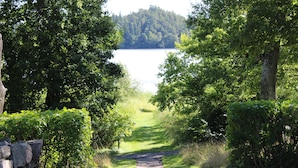 Un sendero que lleva a un lago rodeado de árboles densos.