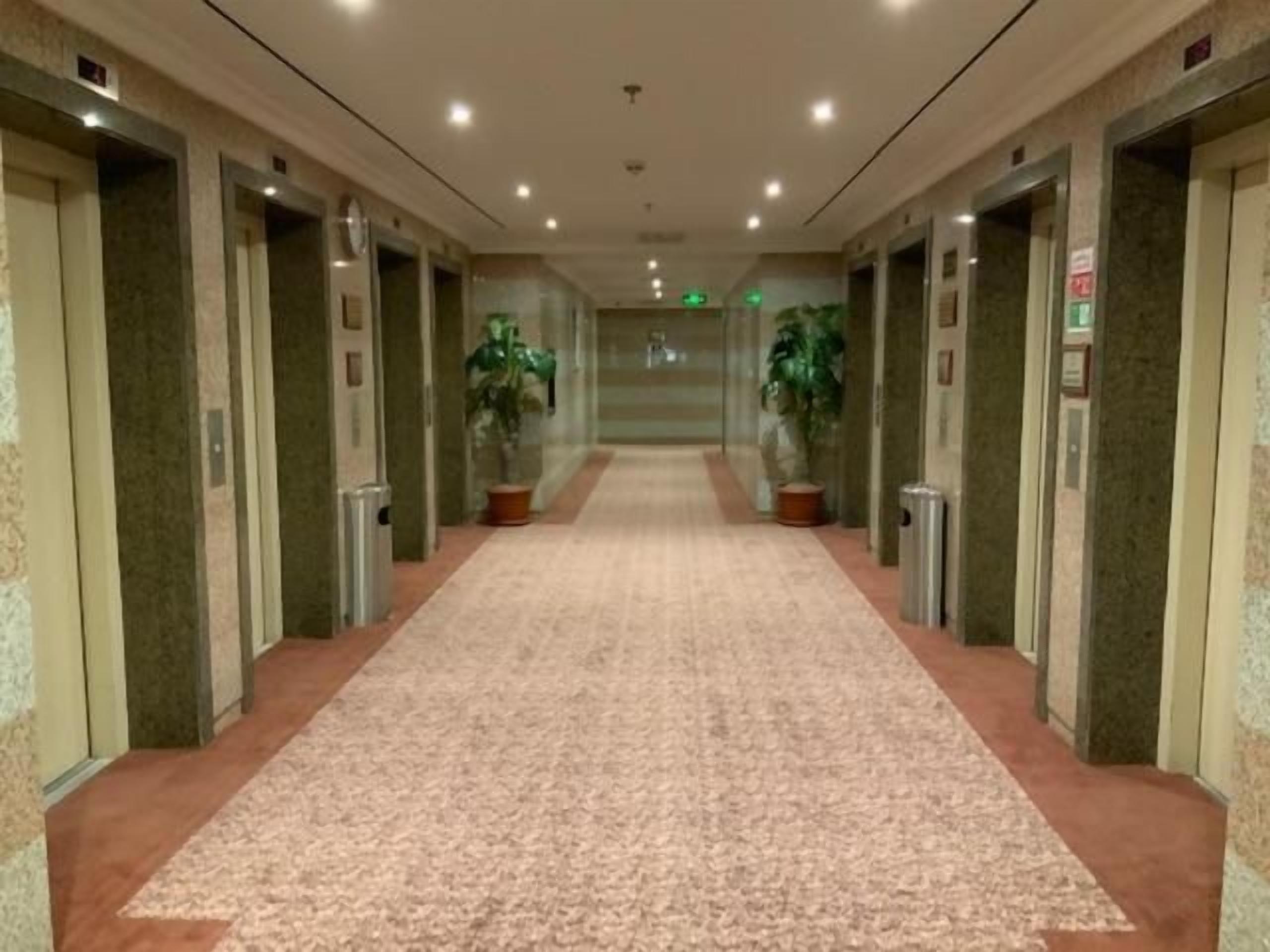 A hotel corridor with carpeted flooring, elevators, and potted plants.