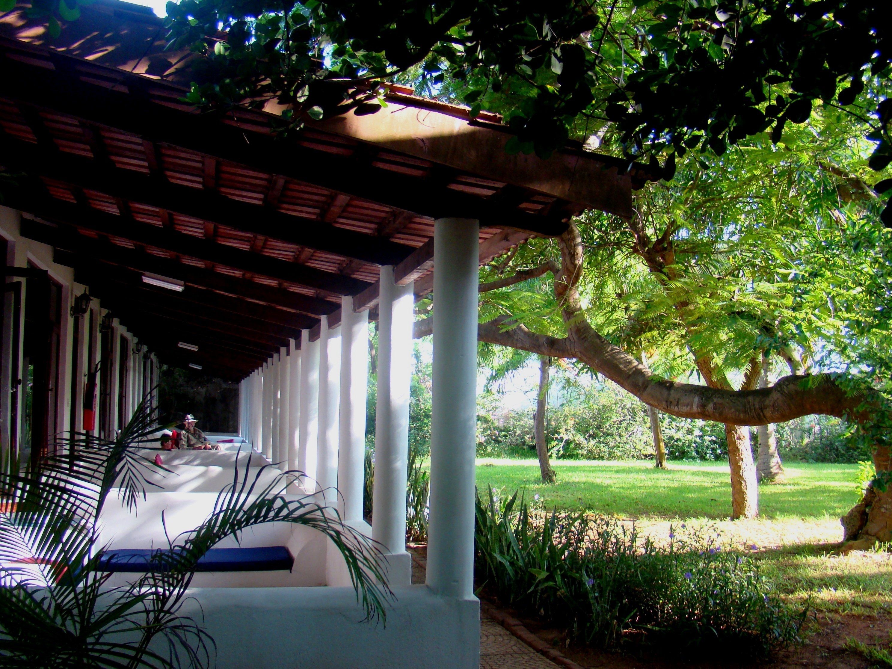 A covered outdoor area with white columns, a roof, and a garden with trees and plants.