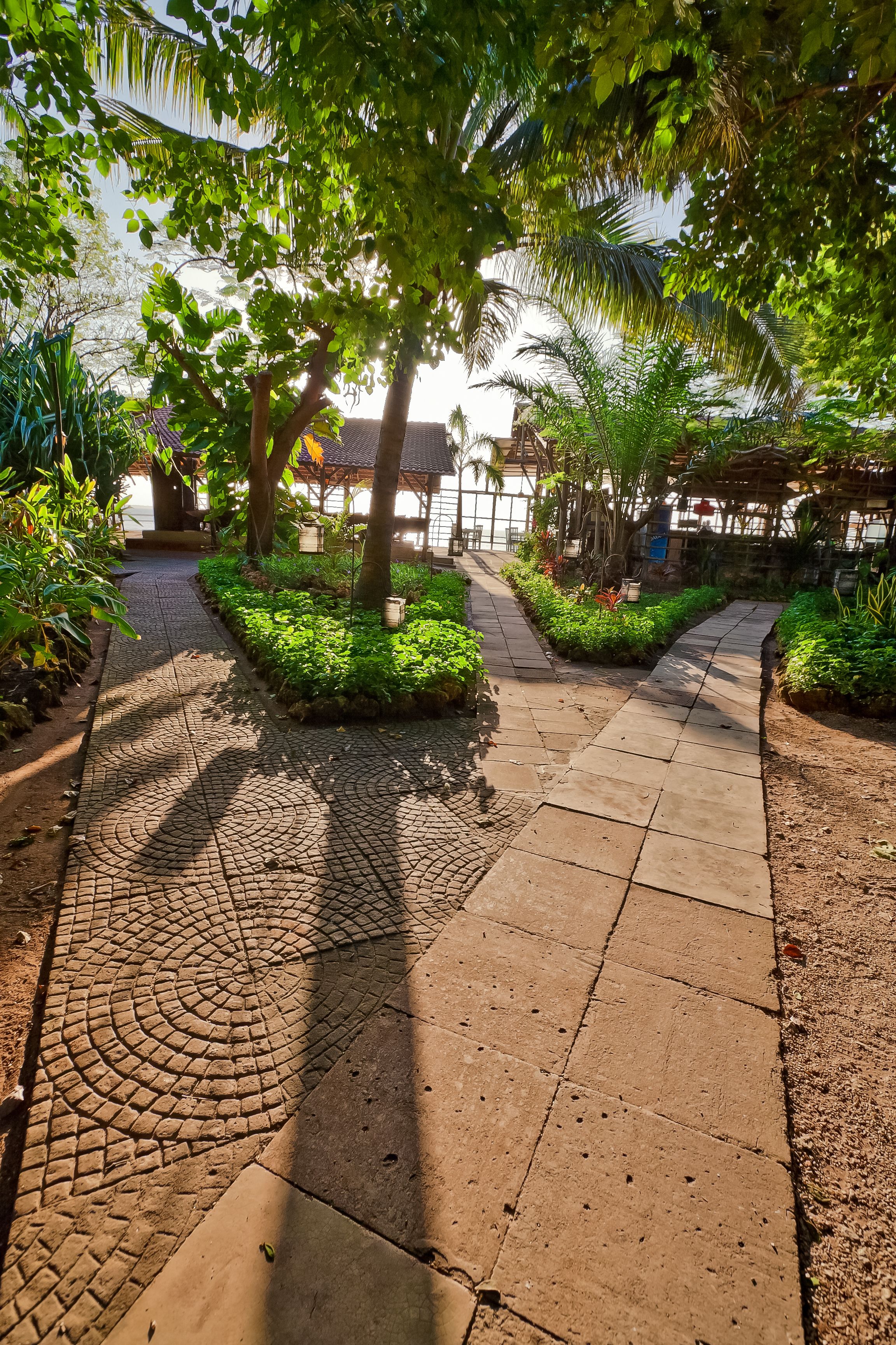 A paved pathway with a circular pattern leading to a covered area with plants and trees.
