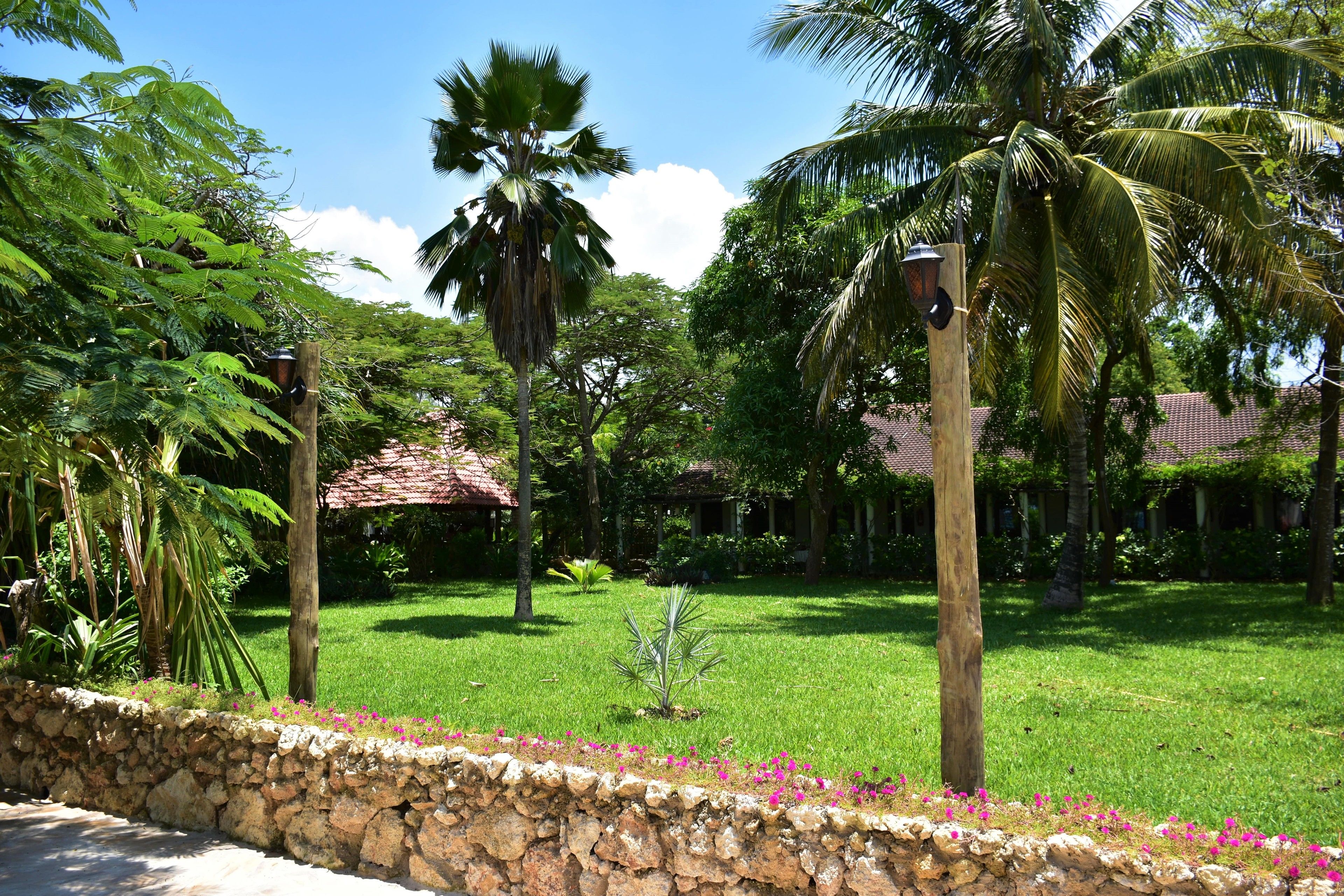 A lush garden with palm trees, a stone wall, and a thatched-roof structure.