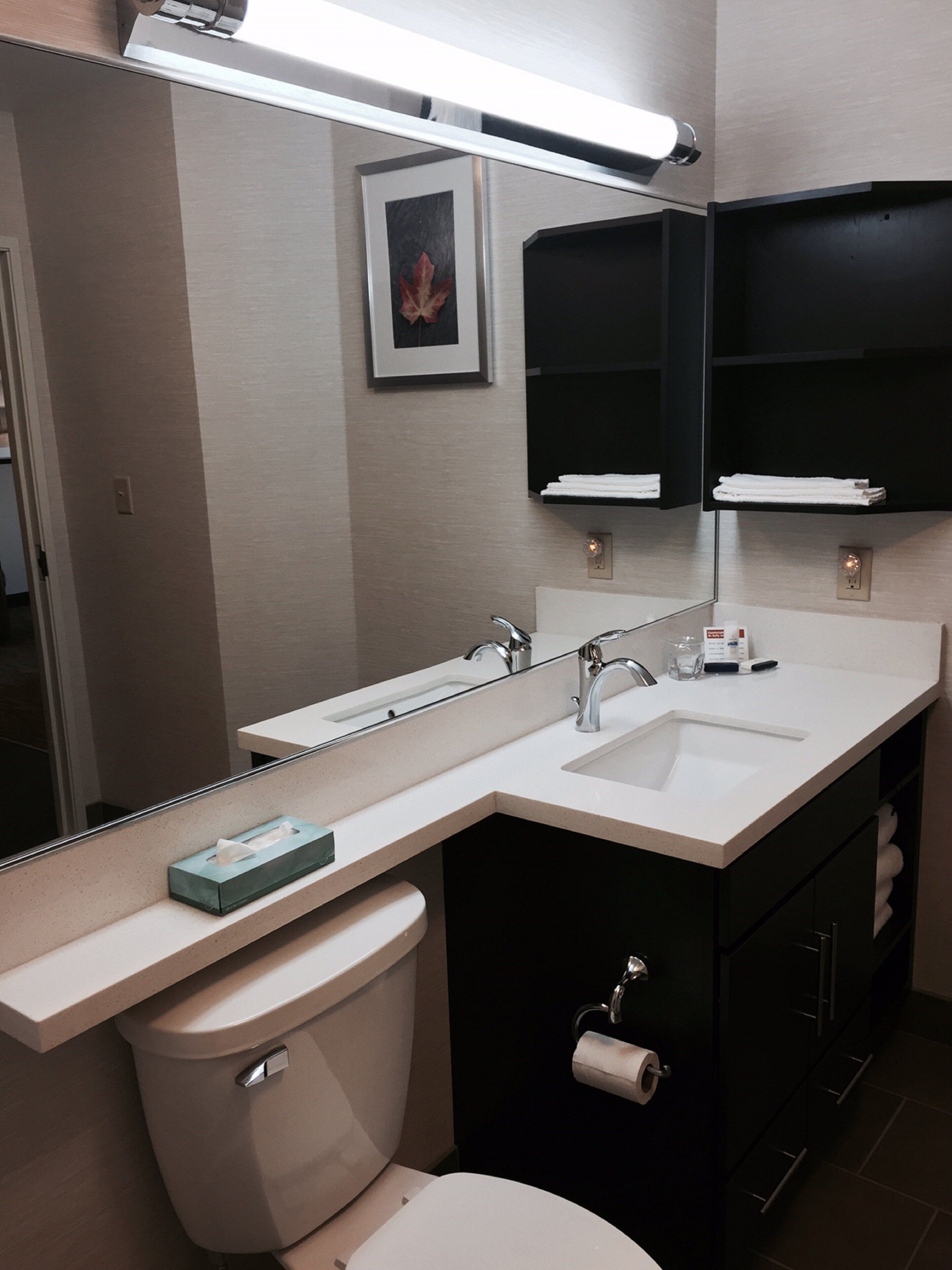 A modern bathroom with a dual sink vanity, a toilet, and a mirror above the sink.