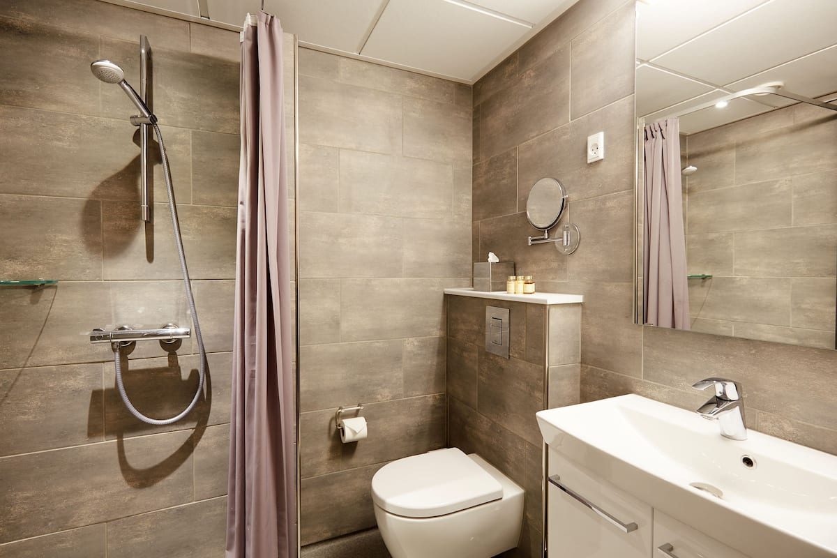 standard double room (main building) | bathroom | shower, hair dryer, towels, soap