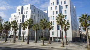 Ein modernes Gebäude mit weißer Fassade und zahlreichen Fenstern. Vor dem Gebäude säumen Palmen die Straße.