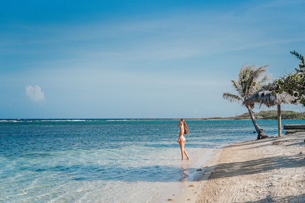 Platja privada, gandules de platja, tovalloles de platja i submarinisme