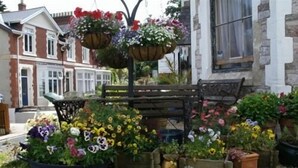 A flower bed with various potted plants and flowers in front of a building. - Ashleigh House (Torquay)
