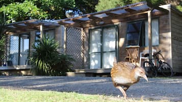 Kiwi Cabin