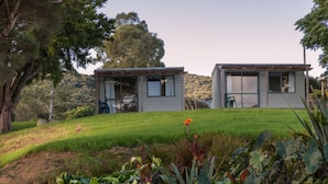 Two modern, detached houses with large windows, surrounded by lush greenery and a small flower in the foreground. - Russell - Orongo Bay Holiday Park (Russell)