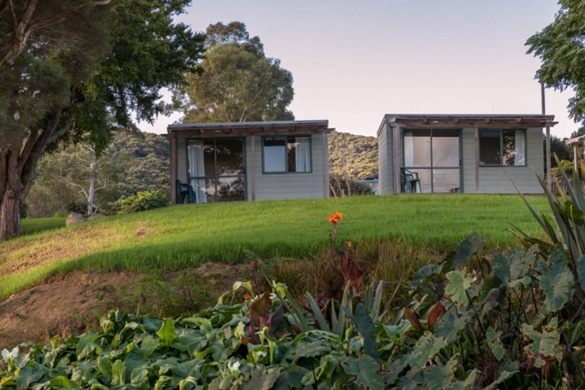 Two modern, detached houses with large windows, surrounded by lush greenery and a small flower in the foreground.
