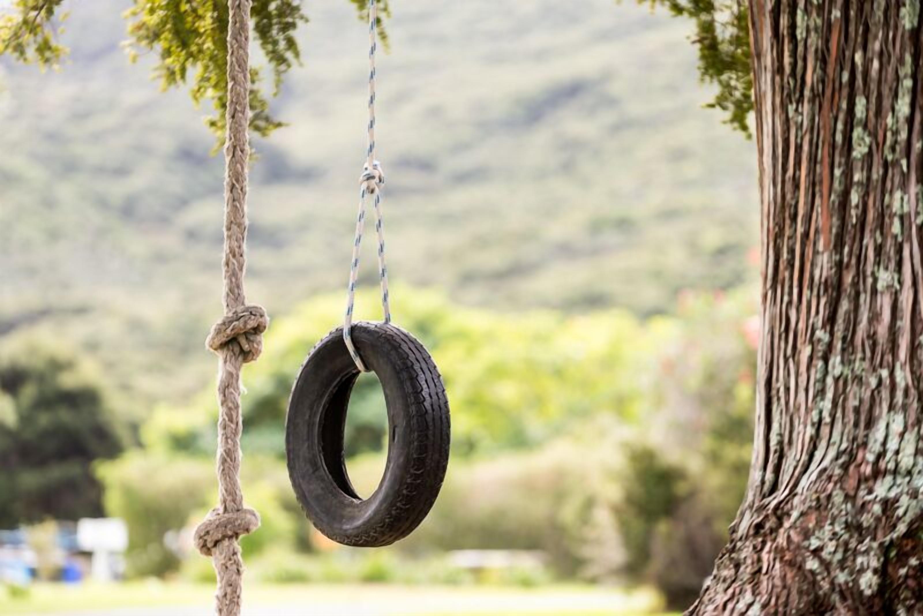 Une balançoire faite d’un pneu suspendu à une corde attachée à un arbre.