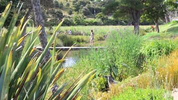 Paisaje natural con un puente, agua y vegetación densa.