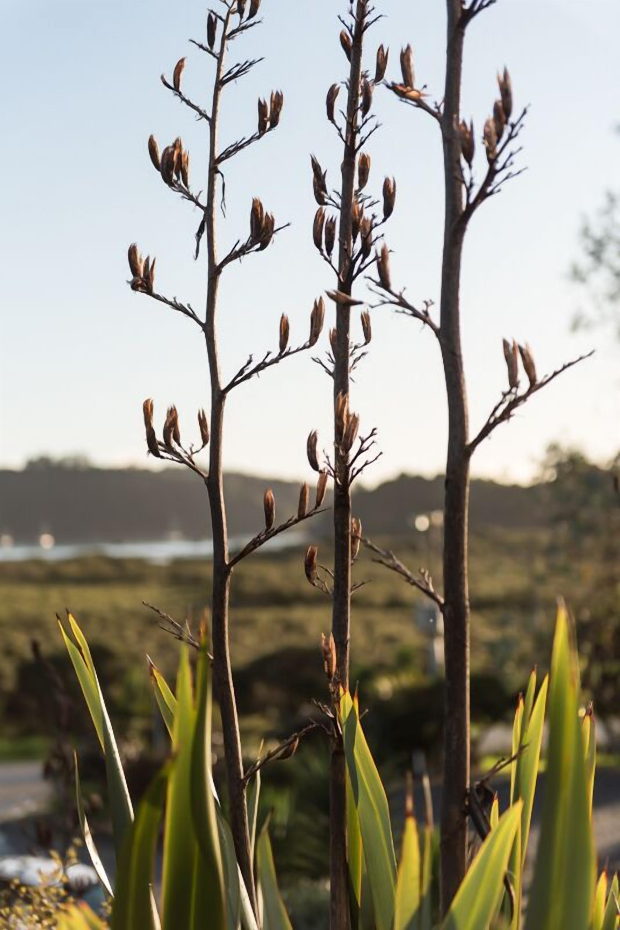 Majoituspaikan sisäänkäynti