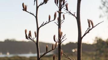 Entrada da propriedade