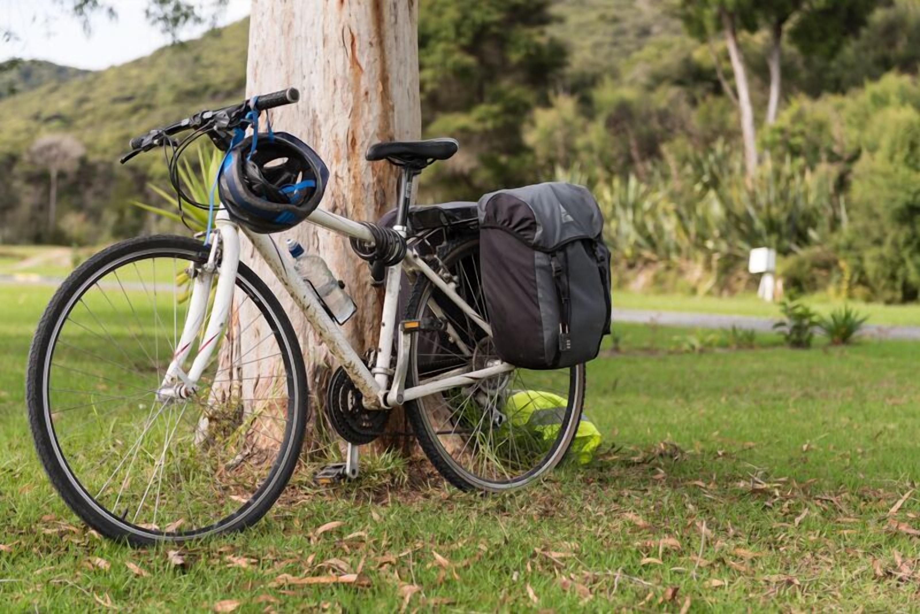 A bicycle parked against a tree in a grassy area with a bag attached to the back.