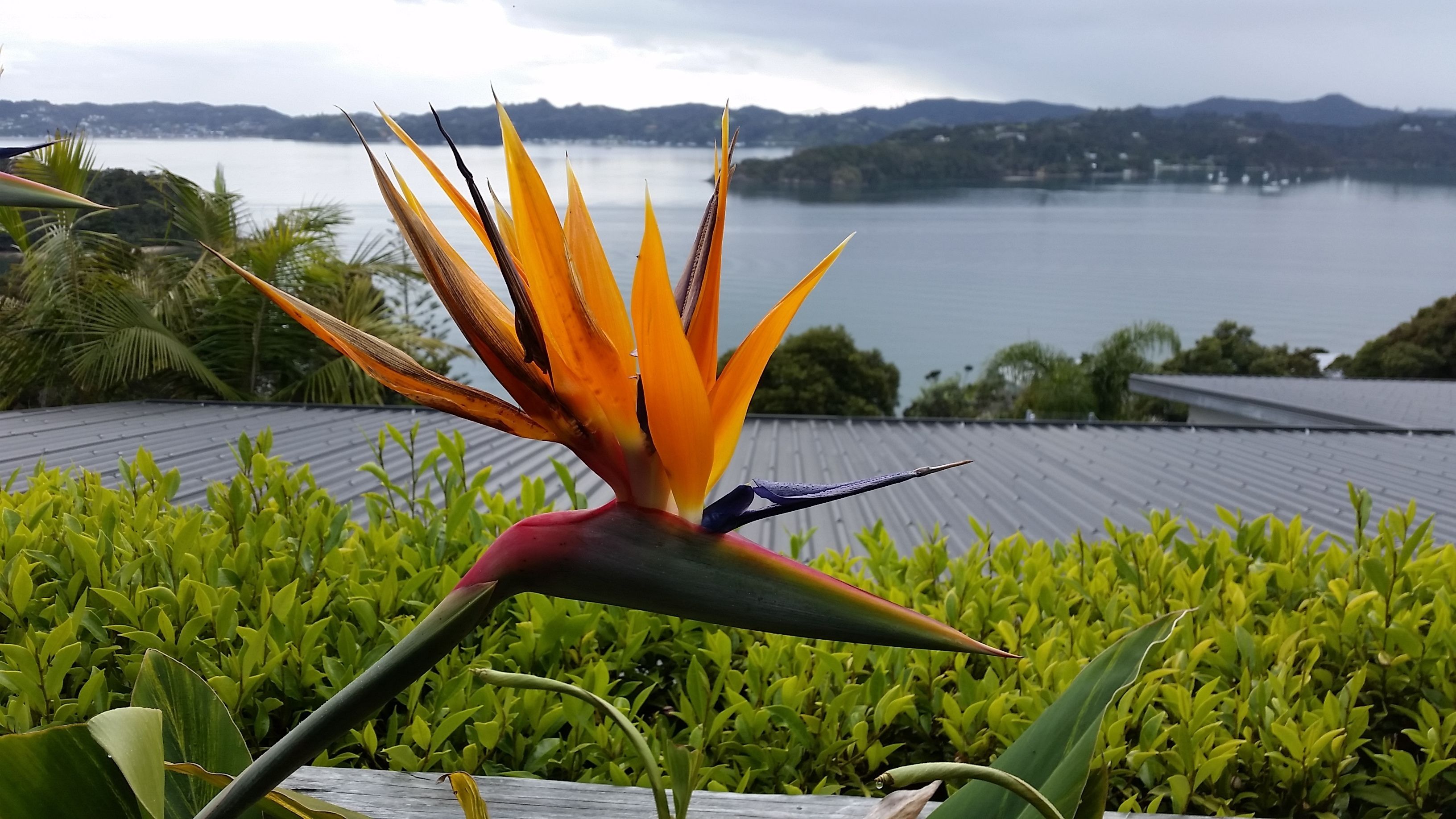 Bộ đồ giường cao cấp, két bảo mật tại phòng, trang trí khác biệt 