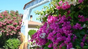 A sign with the word "CAMPING" and a lush garden with pink flowers. - Village Camping La Foce (Valledoria)