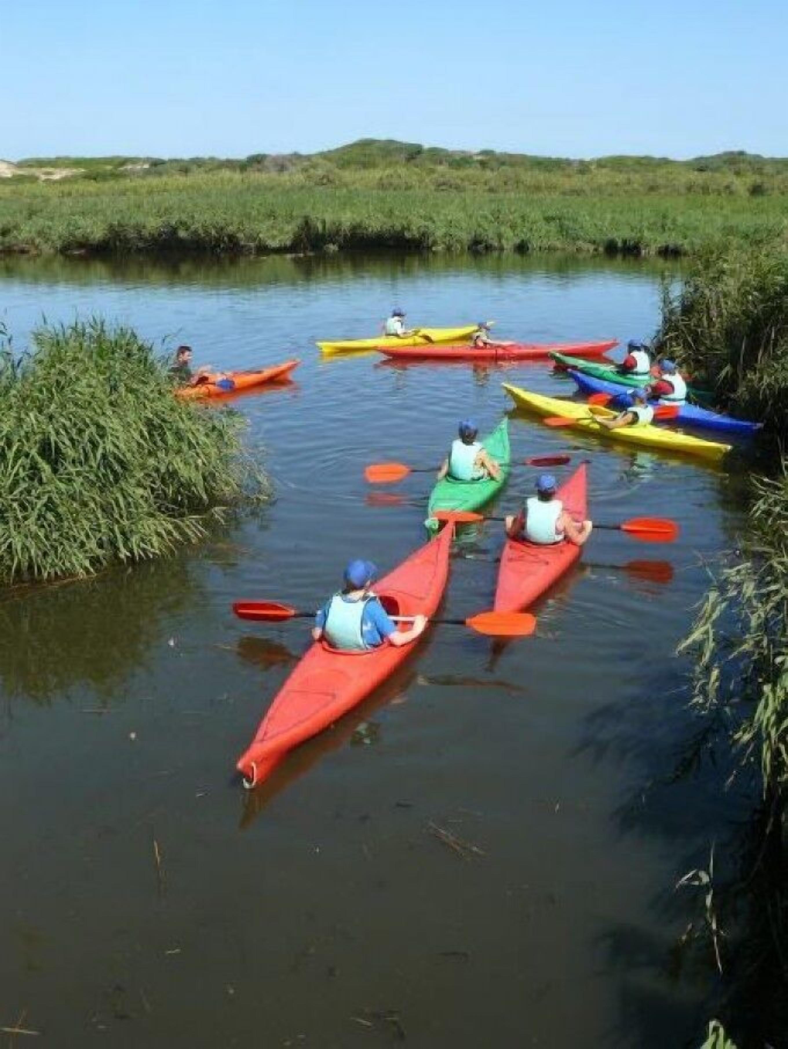 Eine Gruppe von Menschen paddelt mit dem Kajak auf einem ruhigen Fluss, umgeben von dichter Vegetation.
