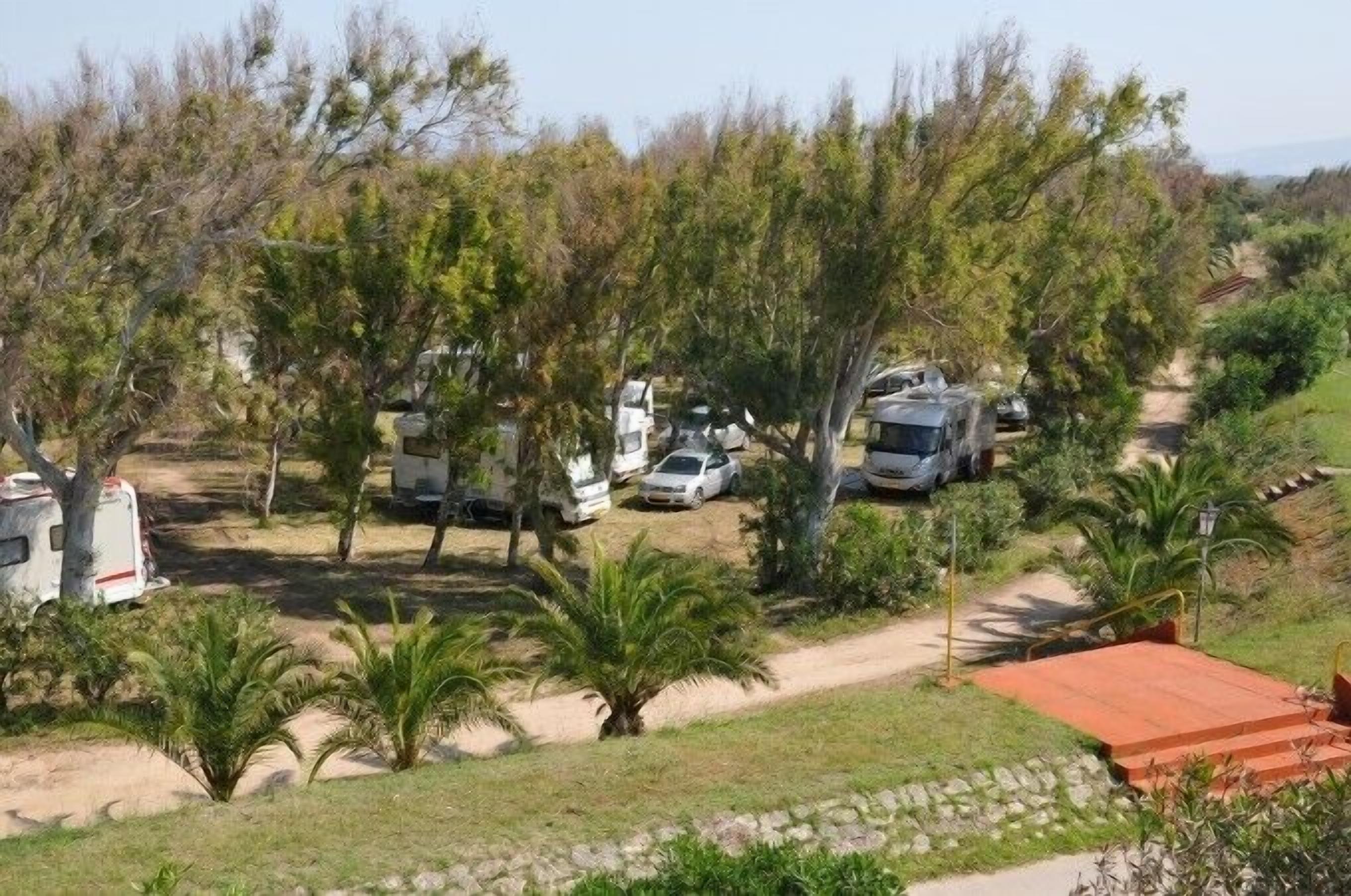 A campsite with RVs and cars parked among trees and palm plants.