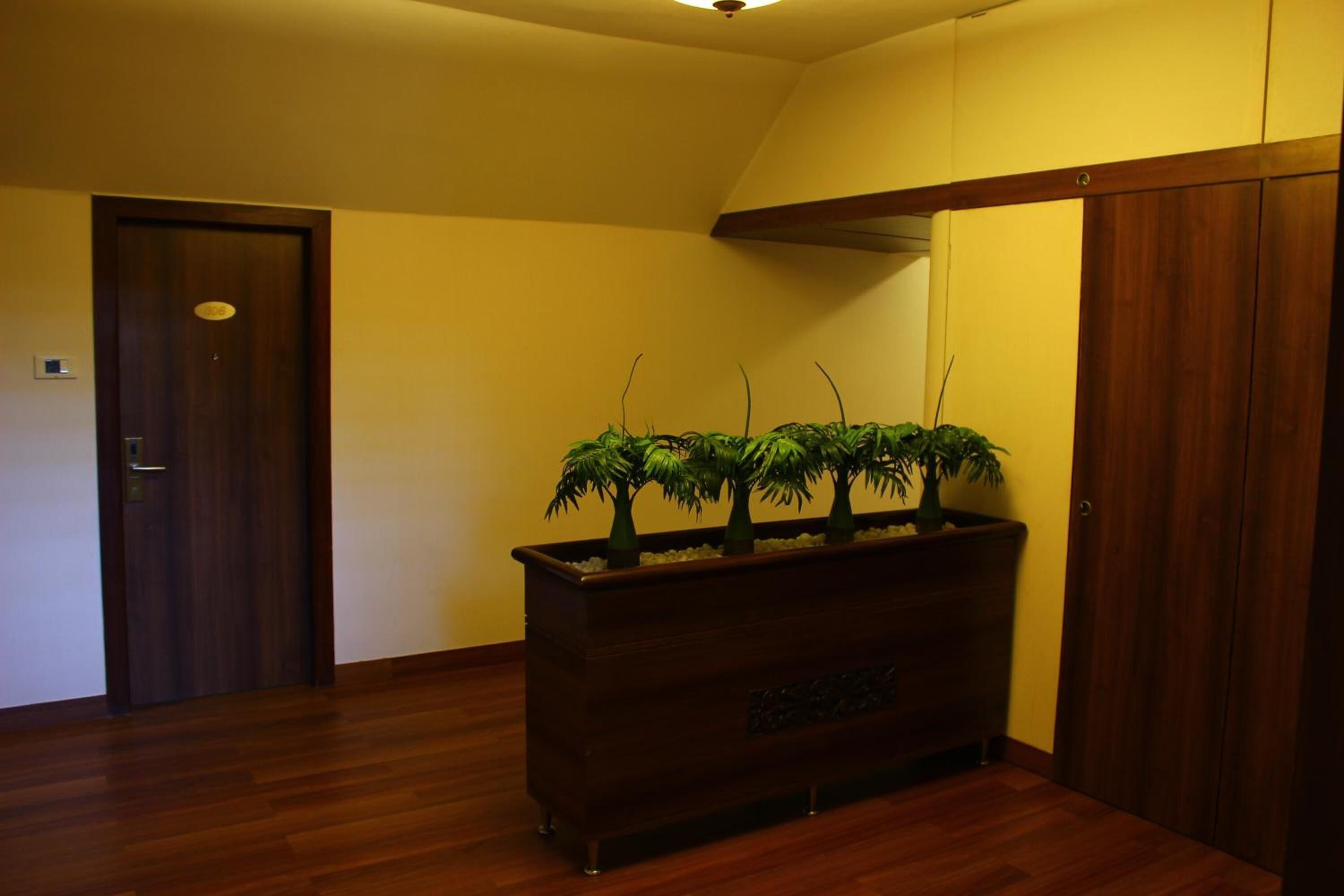 A hallway with a wooden floor, a dark wooden cabinet with plants, a wooden door, and a wooden wardrobe.