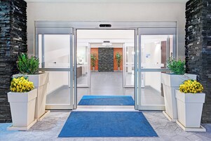 Entrada de hotel con puerta de vidrio, alfombra azul y plantas en macetas a ambos lados.
