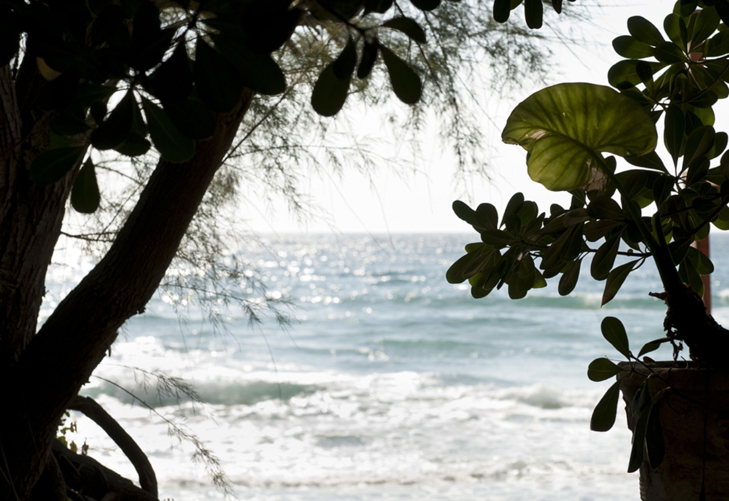 apartment, 2 bedrooms (6 pax) | view from room