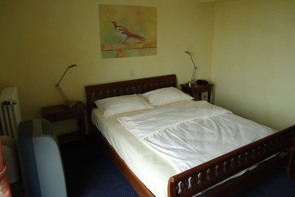 Ein Hotelzimmer mit einem hölzernen Bett, zwei Nachttischen mit Lampen, einer Heizung und einem Gemälde an der Wand.