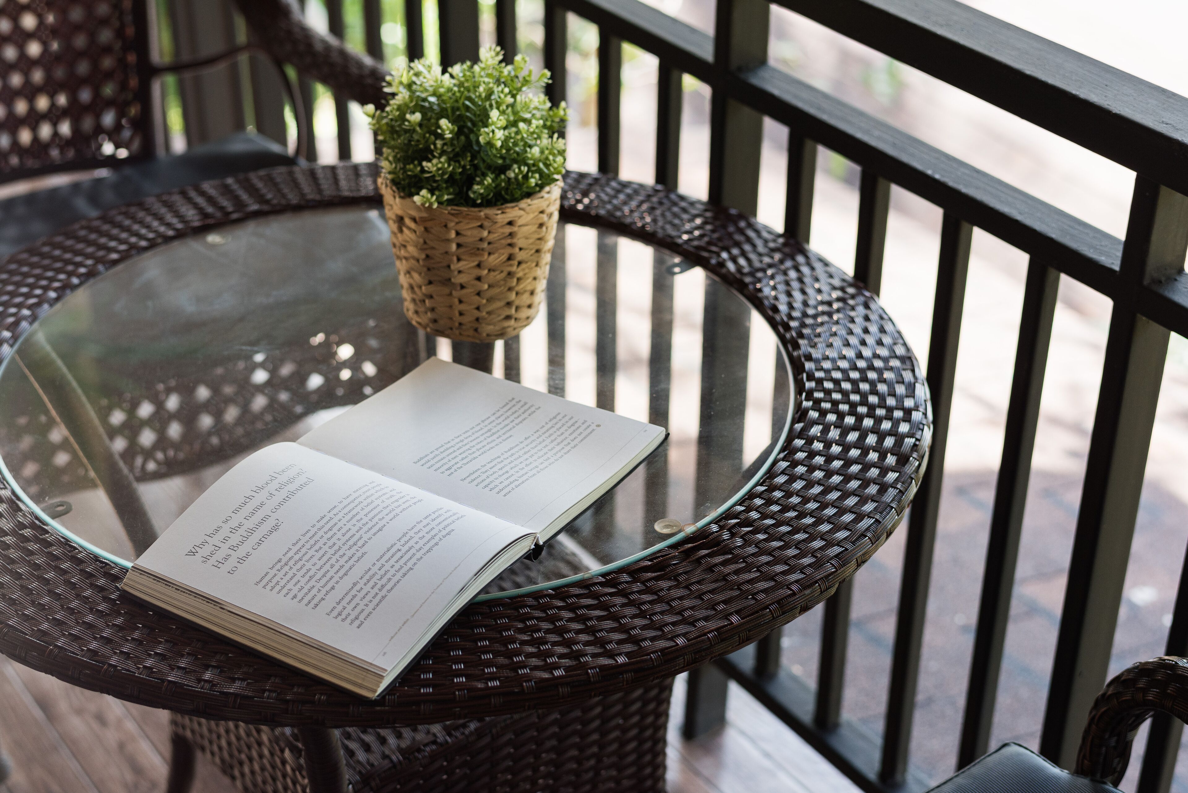 deluxe forest view | balcony