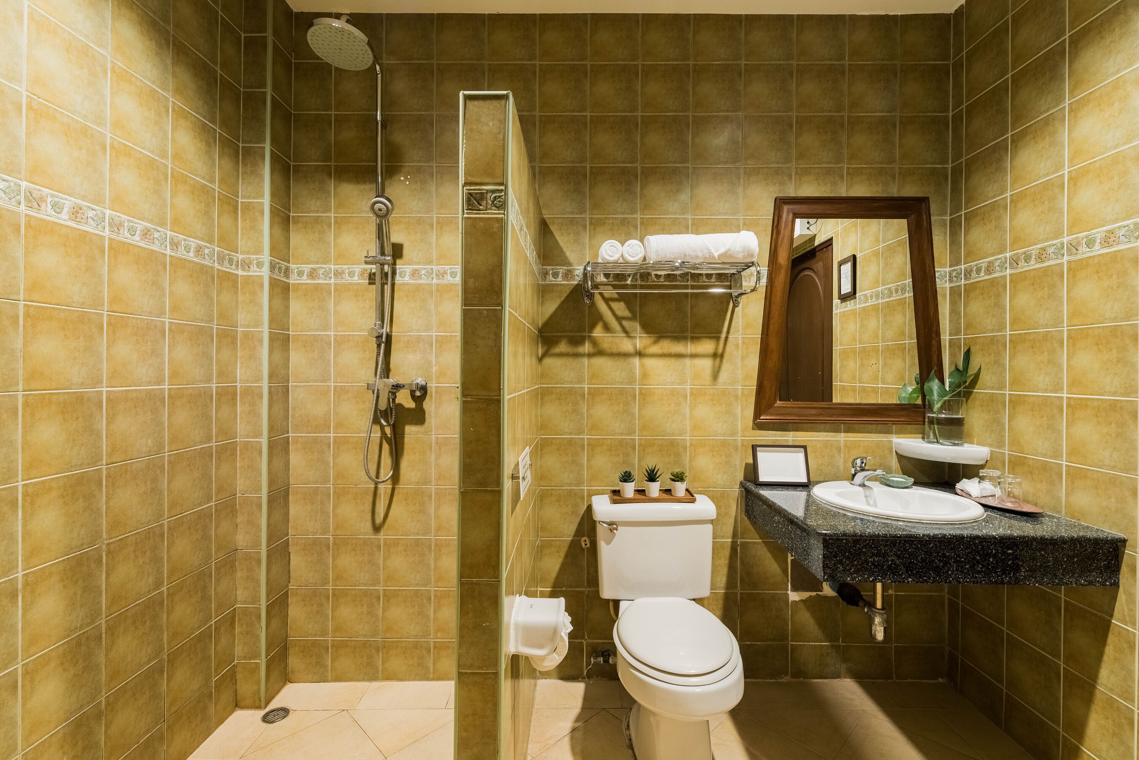 A bathroom with a shower, toilet, sink, and a mirror.