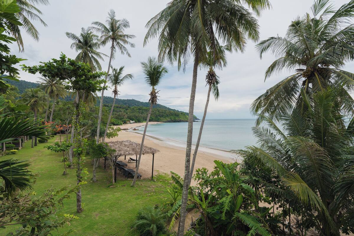 A beach with palm trees, a thatched-roof structure, and a view of the ocean.